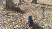 20170220_132239.jpg