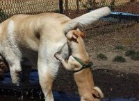 caption_this13_03_09.jpg