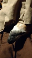 IMG_20170223_192930537.jpg