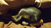 IMG_20170223_184629509.jpg