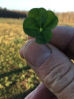 IMG_1579.JPG IMG_1579.JPG