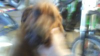 20170226_145247.jpg