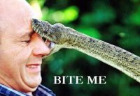 bite_me_042.jpg