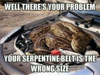c70b83d7a3b2521a2f0cbcbd9eb7dfac.jpg