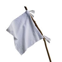 white-flag.jpg~c200.jpg