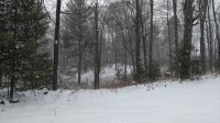 IMG_20170226_160607267.jpg