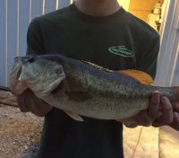 fish.JPG