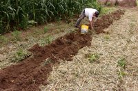 2013-03-14 001 002.JPG