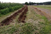 2013-03-14 001 003.JPG