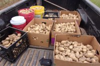 2013-03-14 001 009.JPG