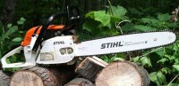 stihl 028 on hickory a.JPG