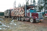 michigan_log_truck_004.jpg