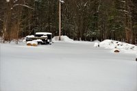 DSC06333.jpg