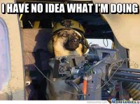 machine-gun-dog_o_1549065.jpg