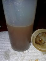 20170324_120629.jpg