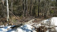 IMG_20170328_105107951.jpg