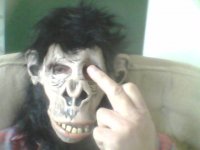 ape.jpg.jpg
