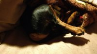 IMG_20170328_220647850.jpg