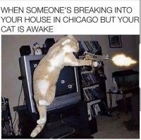 85308761.jpg
