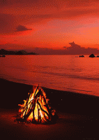 IMG_4039.GIF