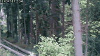 IMG_4062.GIF