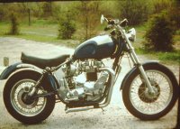 63 bonnie 800.jpg