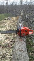 20170401_155419.jpg
