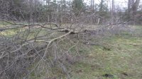 20170401_155022.jpg