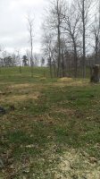 20170401_155914.jpg