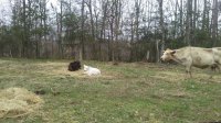 20170401_132148.jpg