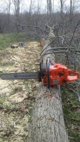 20170401_155421.jpg