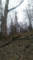 20170401_131143.jpg