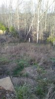 20170402_184449.jpg