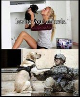 MMeagle-funny-army-memes-loving-animals.jpg