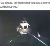 85316322.jpg