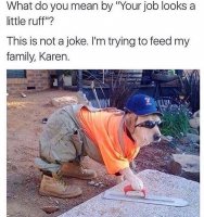 85317593.jpg