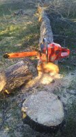 20170408_191556.jpg