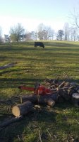 20170408_182145.jpg