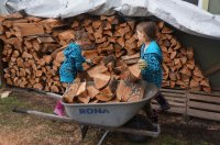 Little Helpers 1.jpg