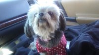 20170408_165635.jpg