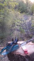 20160917_103559.jpg