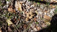 20170408_114354.jpg