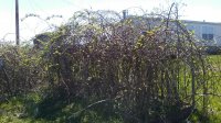 20170408_112030.jpg