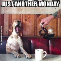 263828-Just-Another-Monday.jpg