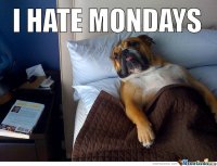 I-Hate-Mondays_o_99191.jpg