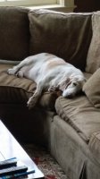 20140802_105257.jpg