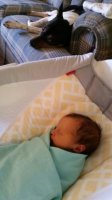 20170412_124516.jpg