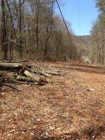 IMG_2174.JPG
