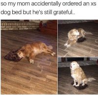 85323987.jpg