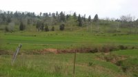 20170416_120228.jpg